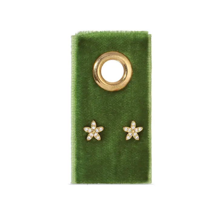 Stud Earrings on Velvet Tag