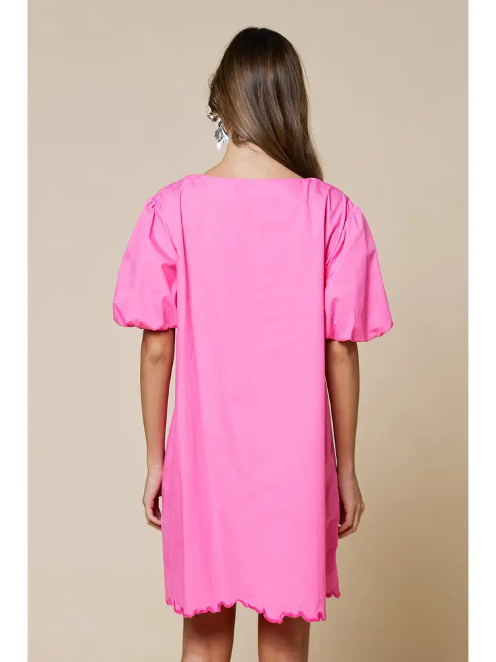 Floral Embroidery Hem V Neck Shor Puff Sleeve Mini Dress