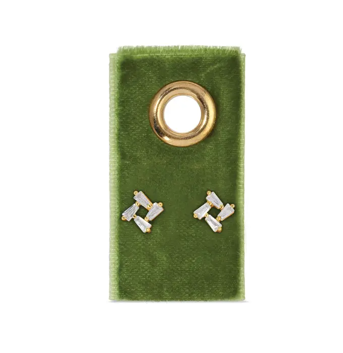 Stud Earrings on Velvet Tag