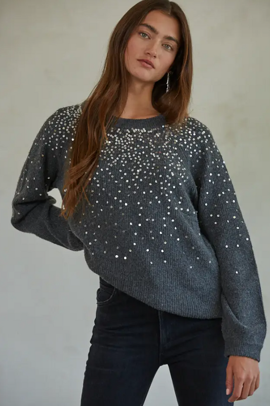 Sequin Detail Crew Neck Pullover